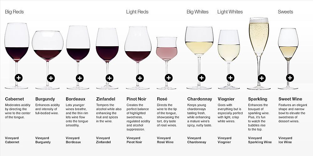 Guide to the Different Types of Wine Glasses