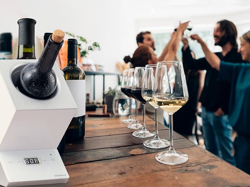The 10 Best Gifts for Wine Lovers in 2023