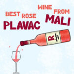 plavac-mali-rose_800x526