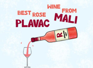 plavac-mali-rose_800x526