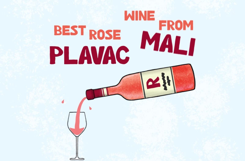 plavac-mali-rose_800x526
