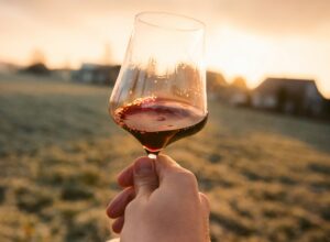 Long-stem wine glass filled with liquid, Photo by Marcel Gross on Unsplash