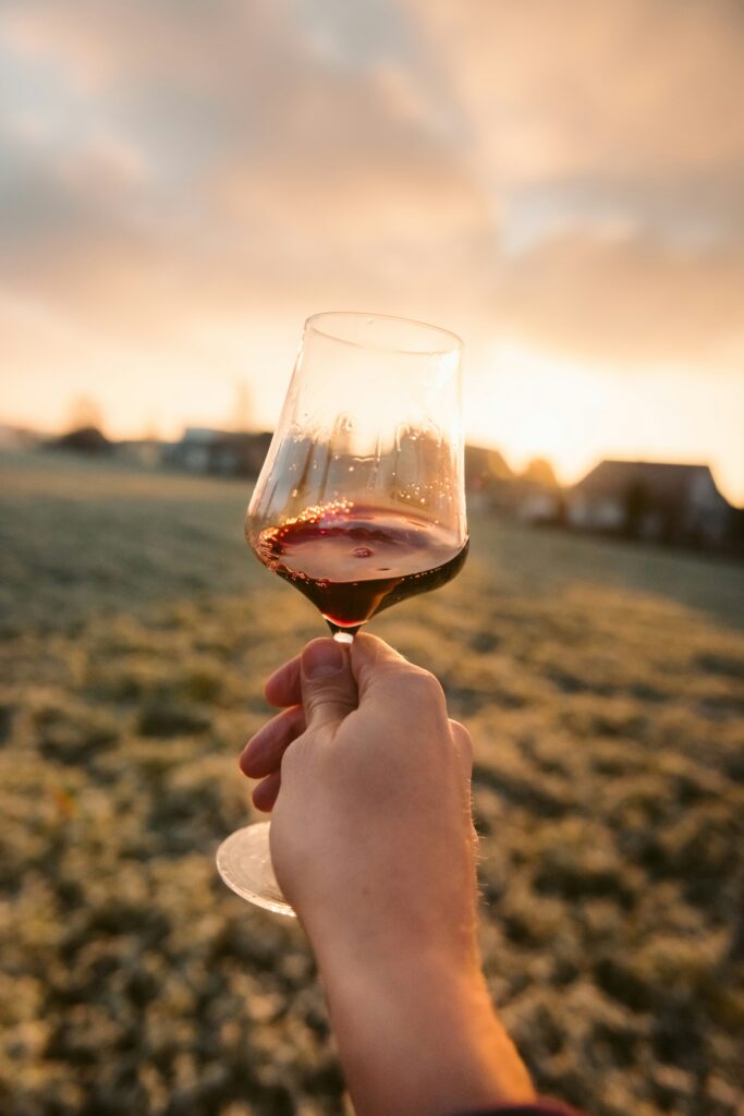 Long-stem wine glass filled with liquid, Photo by Marcel Gross on Unsplash