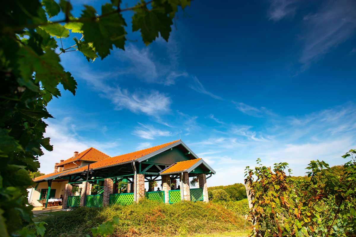 slavonia-wine-region-Enosophia