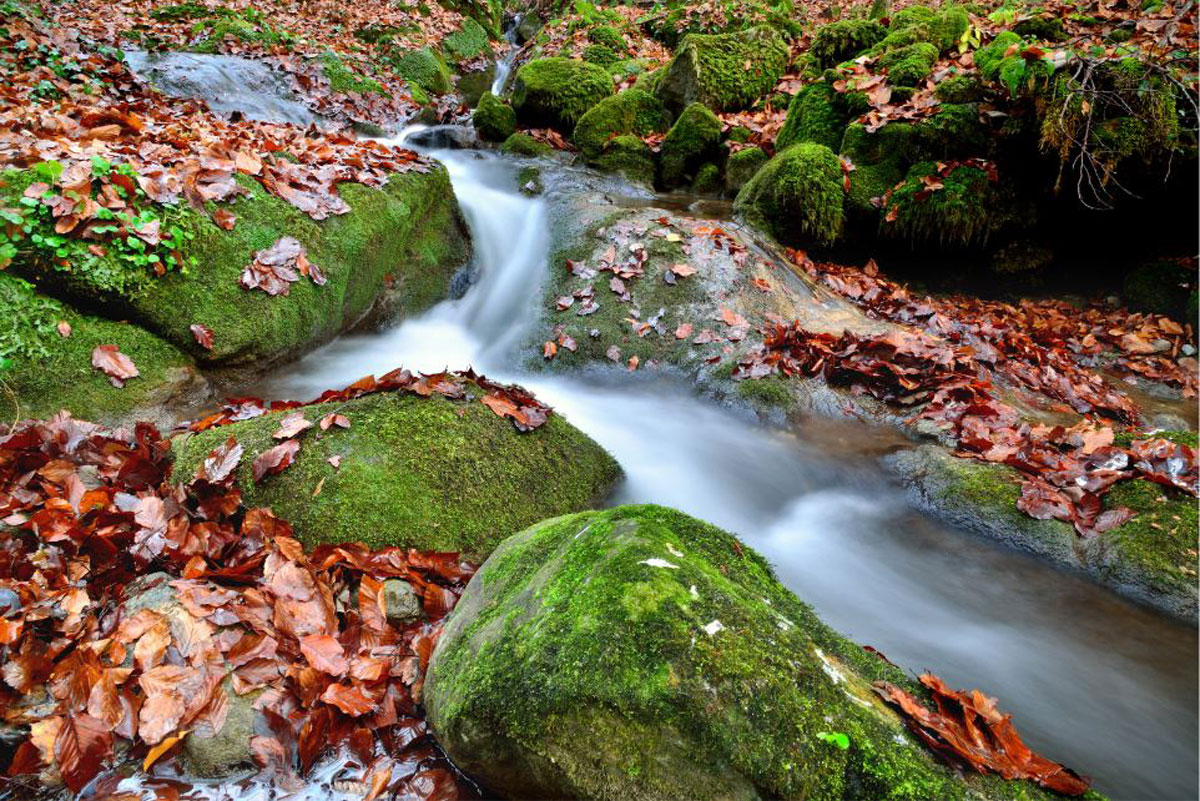 slavonia wine region-Papuk-nature-park